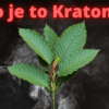 Co je to kratom?